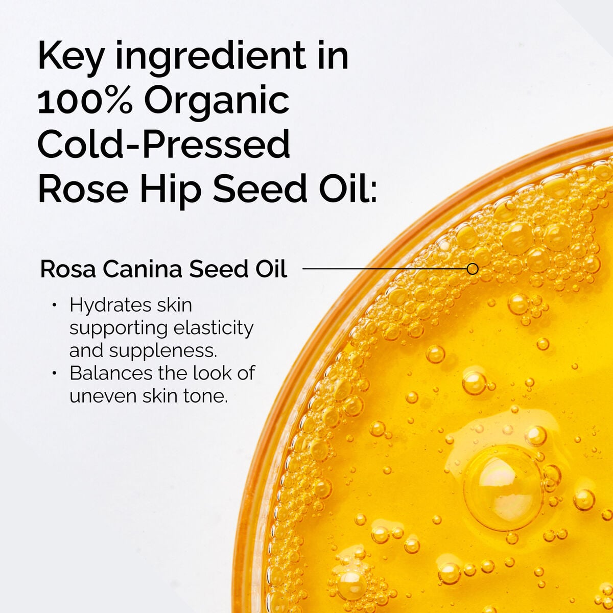 100-organic-cold-pressed-rose-hip-seed-oil-k9 FY25-D41247-ORD-Web-PDP-100-Rose-Hip-Oil-1x1-EN-2.jpg