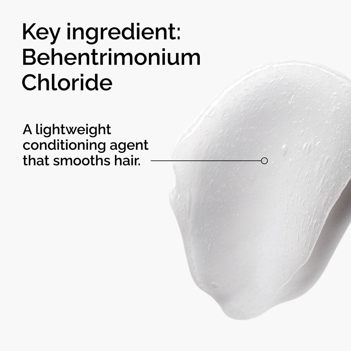 behentrimonium-chloride-2-conditioner-u6 FY25-D41247-ORD-Web-PDP-BTC-1x1-EN-2a.jpg