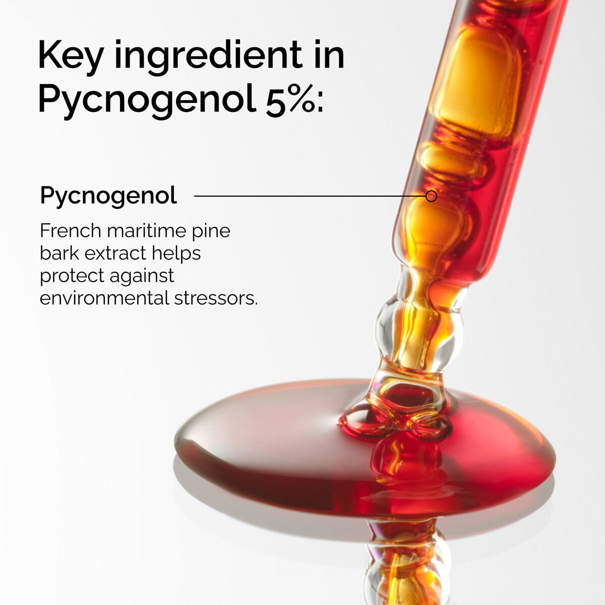 pycnogenol-5-t4 FY25-D41247-ORD-Web-PDP-Pyc-5pct-1x1-EN-2a.jpg