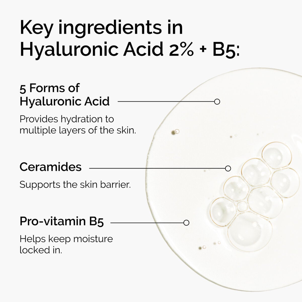 hyaluronic-acid-2-b5-with-ceramides-b5 ord-hyaluronic-acid-2pct-b5-hydrating-serum-ingredients-graphic.jpg