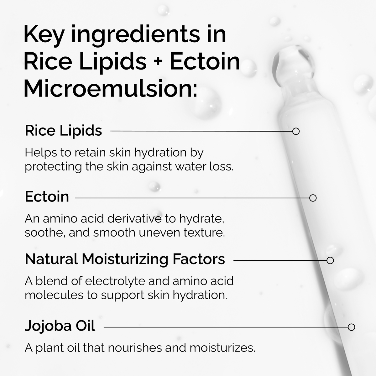 rice-lipids-ectoin-microemulsion-b0 ord-rice-lipids-ectoin-microemulsion-key-ingredients.png