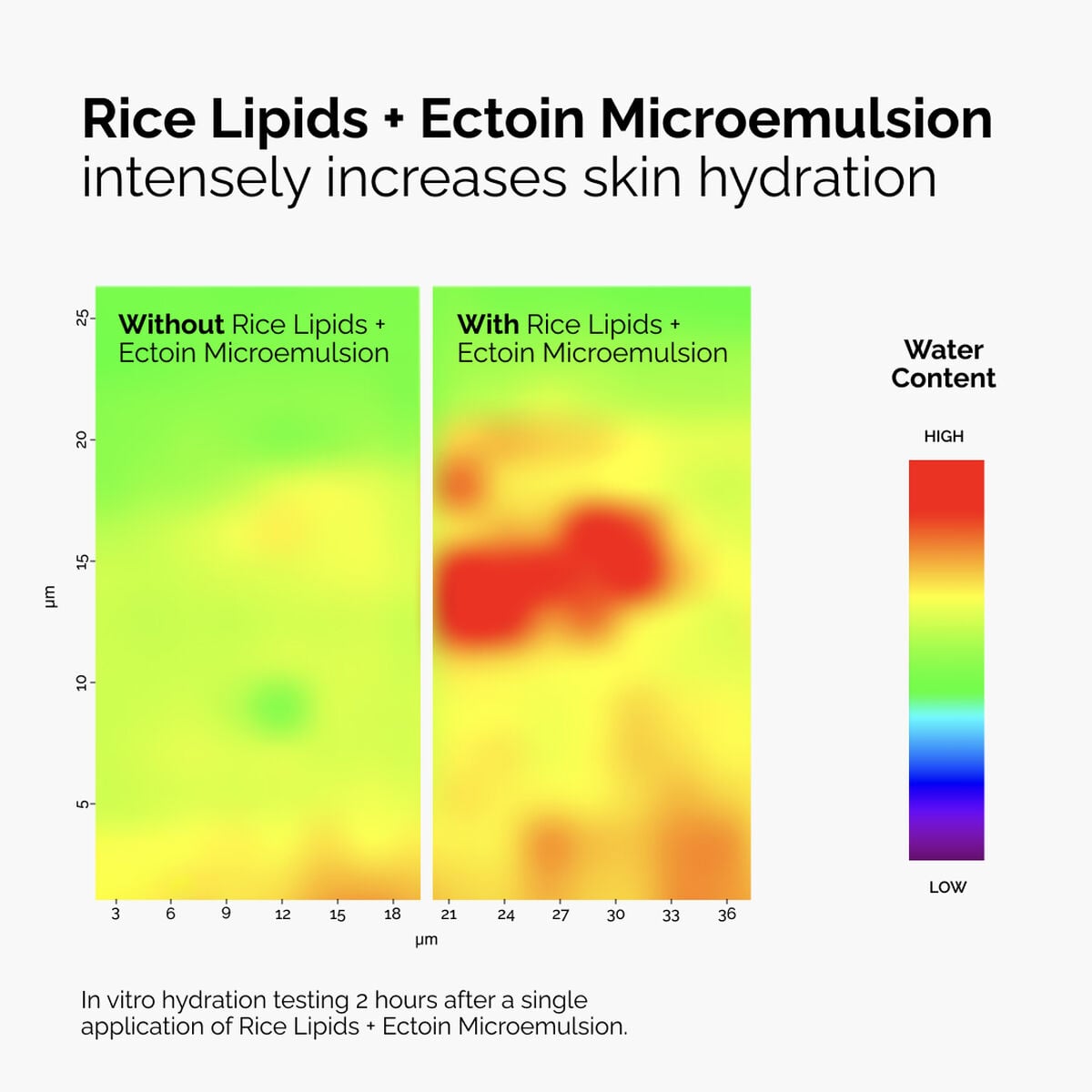 rice-lipids-ectoin-microemulsion-b0 ord-rice-lipids-ectoin-microemulsion-thermal-before-after.jpg